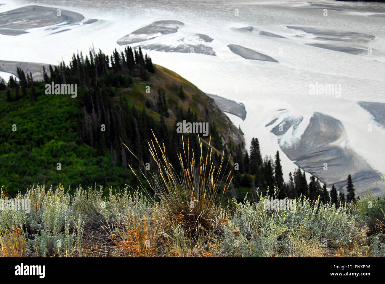 Wrangell-St. Elias National Park, Alaska- Scenic vista panoramica del litorale, foreste e velme del fiume di rame. Foto Stock