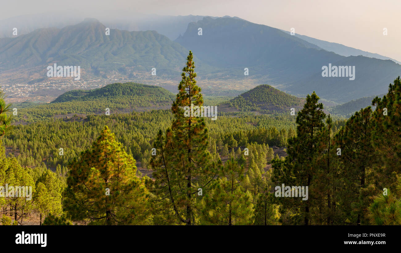 Misty de la Caldera de Taburiente paesaggio in mattinata, la Palma Isole Canarie Foto Stock