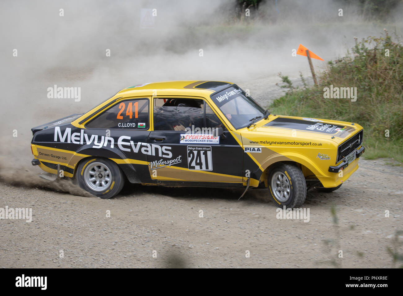 Un picchio Rally - Ford Escort Foto Stock