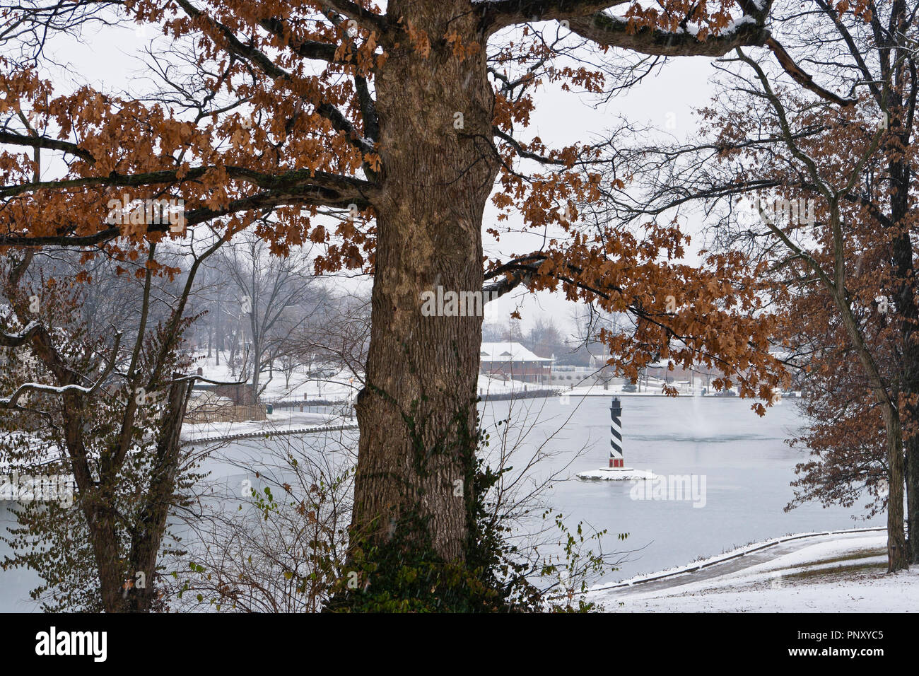 La neve cade su un albero di quercia vestita in rosso-marrone fogliame invernale a January-Wabash Park di Ferguson, Missouri, con il parco del lago e del faro in Foto Stock