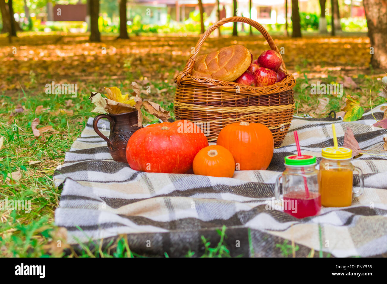 Picnic in natura. cesto di vimini su un plaid plaid. intorno al fogliame giallo, bevande, zucche e mele, una focaccia di pane una brocca Foto Stock