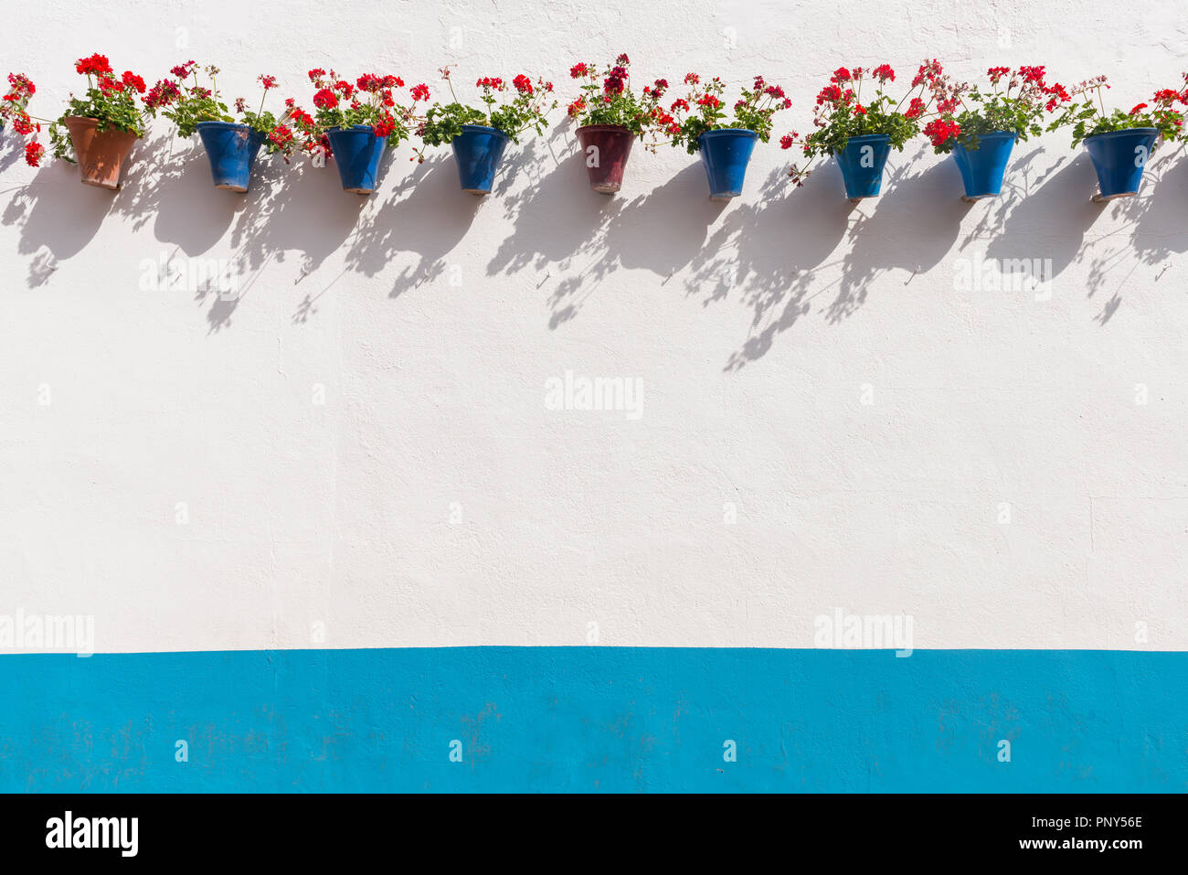 Rosso dei gerani in vasi da fiori blu su un muro di casa, Fiesta de Los Patios, Córdoba, Andalusia, Spagna Foto Stock