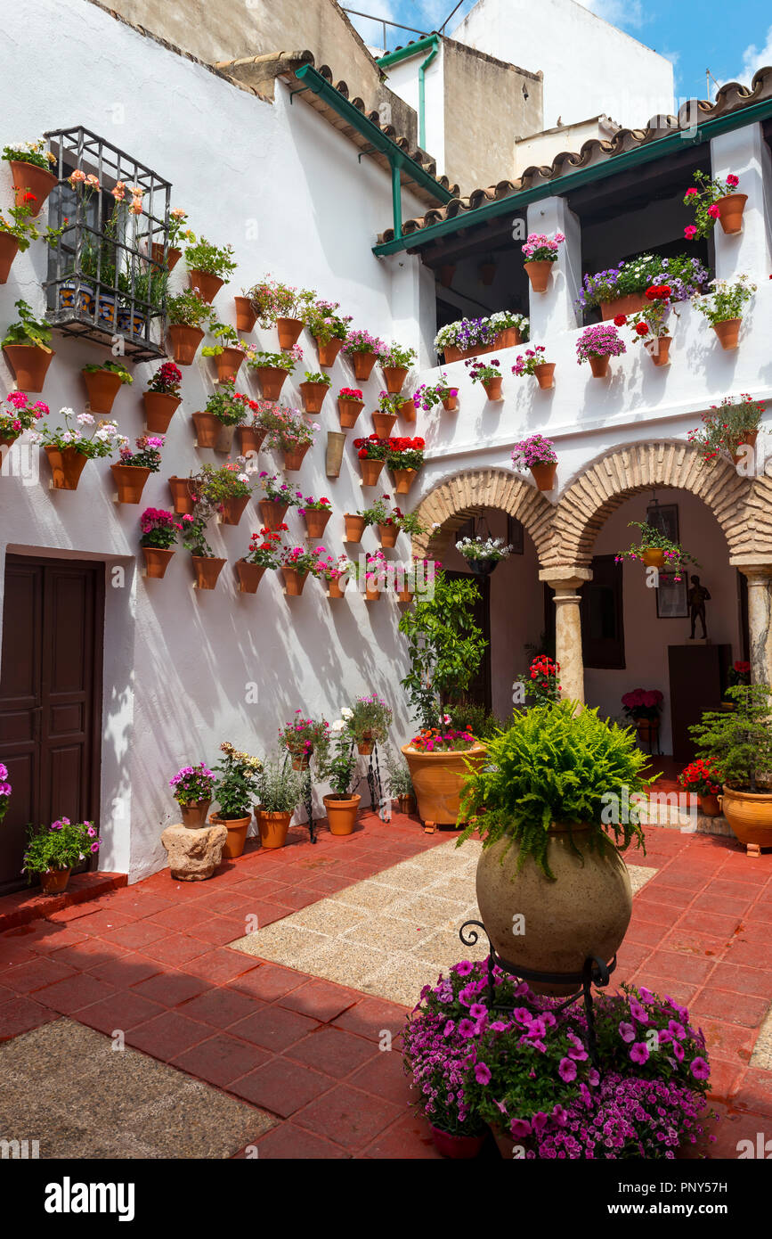 Molti fiori in vasi da fiori nel cortile su di un muro di casa, Fiesta de Los Patios, Córdoba, Andalusia, Spagna Foto Stock