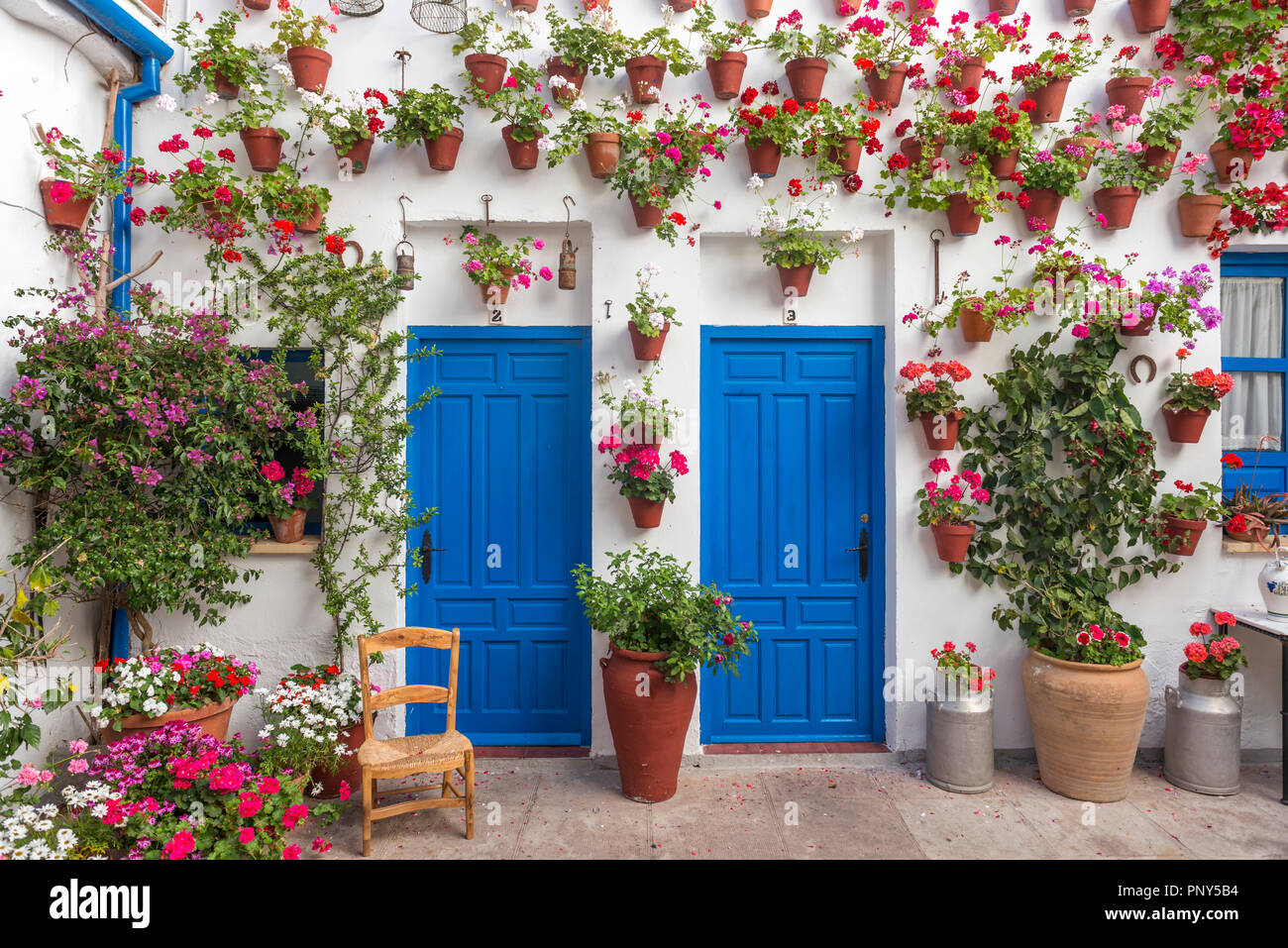 Blue porte anteriori con molti rossi gerani in vasi da fiori su un muro di casa, Fiesta de Los Patios, Córdoba, Andalusia, Spagna Foto Stock