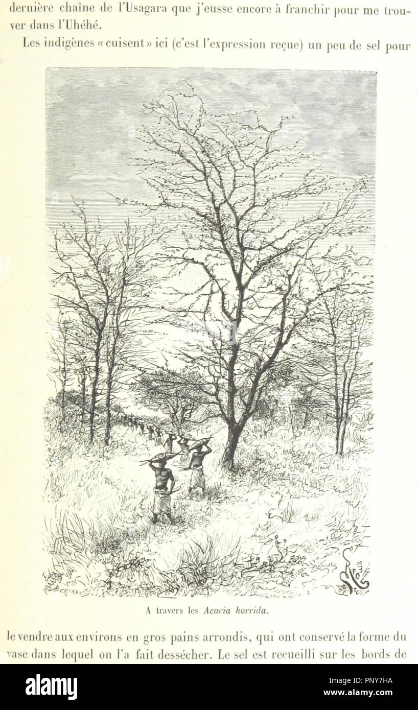 Immagine dalla pagina 125 di 'Les Lacs de l'Afrique Équatoriale. Viaggio d'esplorazione exécuté de 1883 à 1885 . Ouvrage contenant 161 incisioni d'après les dessins de Riou, et 2 cartes' dal British0038. Foto Stock