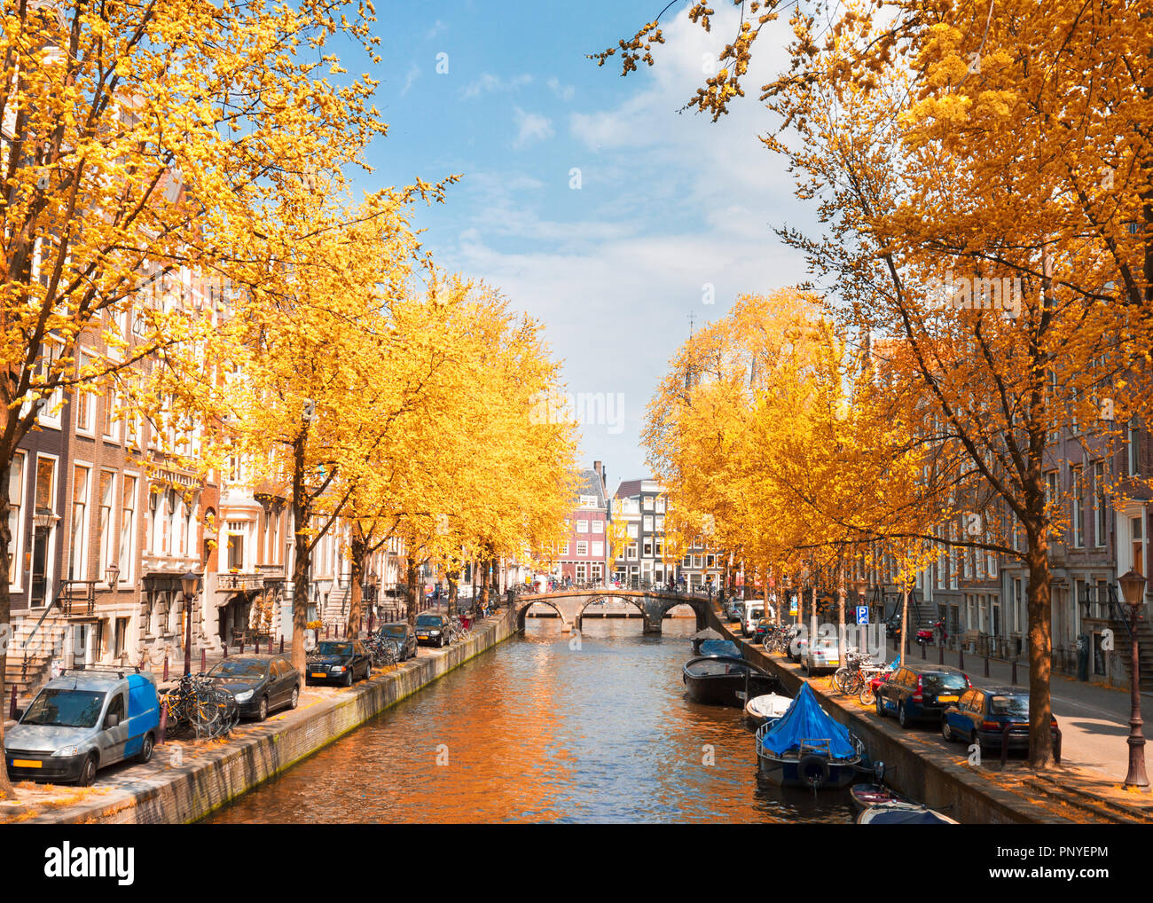 Uno dei canali di Amsterdam città vecchia con alberi verdi a cadere giorno,  Olanda Foto stock - Alamy