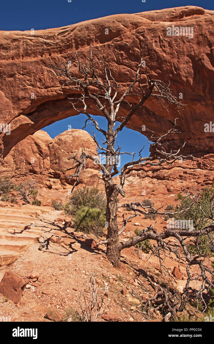 Finestra del sud nella sezione Windows di Arches National Park. Utah. Stati Uniti d'America 1 Foto Stock