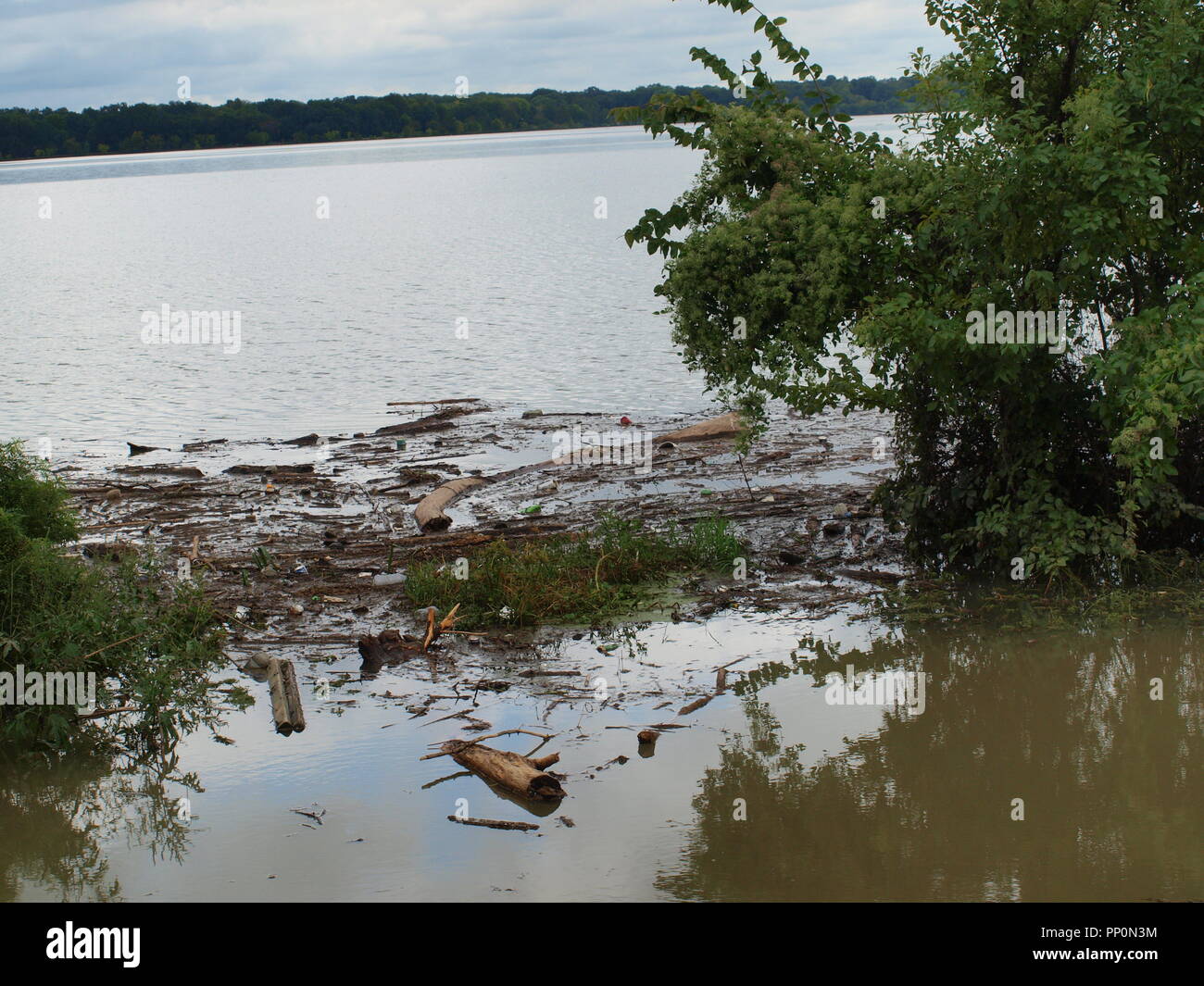 Lampeggiano le inondazioni nel nord Texas Foto Stock