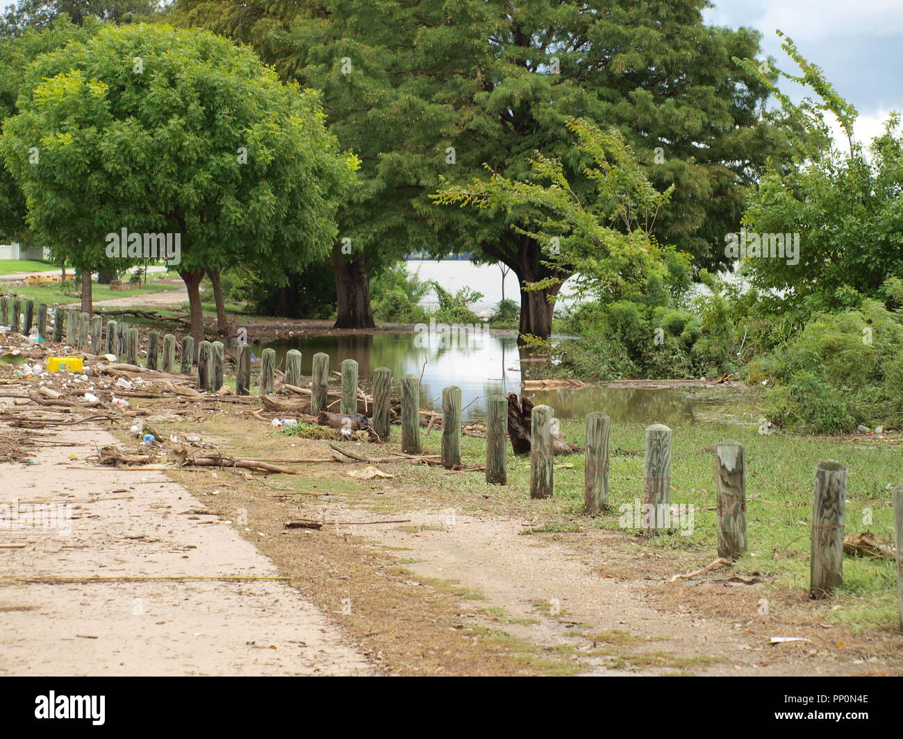 Lampeggiano le inondazioni nel nord Texas Foto Stock