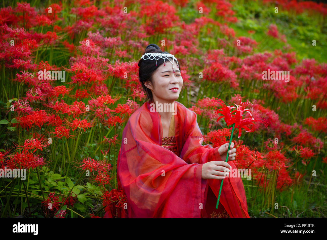 Handa, Aichi, Giappone. 23 Sep, 2018. Una donna che indossa cuple tradizionale guardando il matrimonio (non in foto). 3 milioni Lycoris Radiatas visto in piena fioritura vicino al fiume Yakachi in Handa città dove la sposa scorre in un rickshaw e lo sposo a piedi accanto ad essa durante il loro stile tradizionale giapponese matrimonio.Questo tipo di matrimonio tradizionale è tenuto annualmente dalla sposa e lo sposo che si sposano durante il Festival d'Autunno di gon in Yanabe Hachiman Santuario. Credito: Takahiro Yoshida SOPA/images/ZUMA filo/Alamy Live News Foto Stock