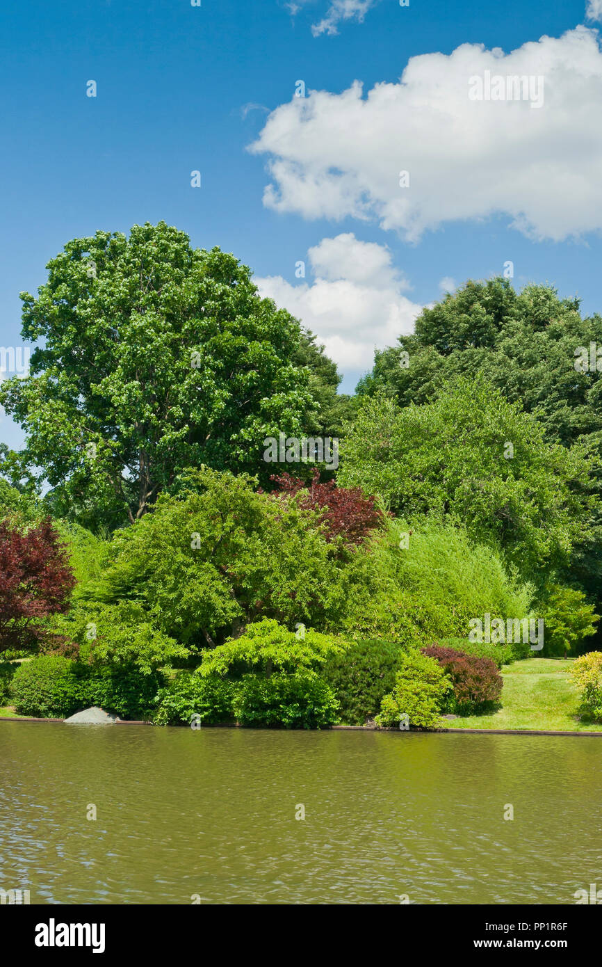 ST. LOUIS - 12 giugno: Bright puffy nuvole nel cielo blu sopra il lago nel giardino giapponese in corrispondenza del giardino botanico del Missouri su una metà di giugno giornata estiva, 2 Foto Stock