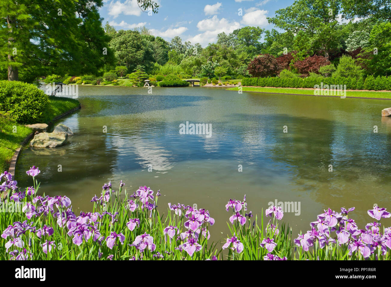 ST. LOUIS - 12 giugno: Bright puffy nuvole nel cielo blu sopra e riflessa nel lago nel giardino giapponese in corrispondenza del giardino botanico del Missouri su un mid-J Foto Stock