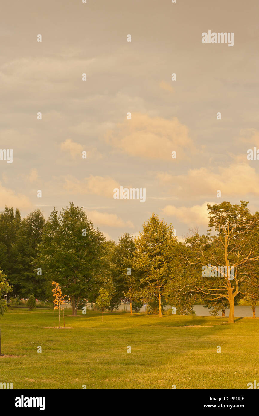 Due strati di nuvole produrre un fantastico inizio al tramonto dopo una piovosa giornata estiva a San Louis Forest Park. Foto Stock