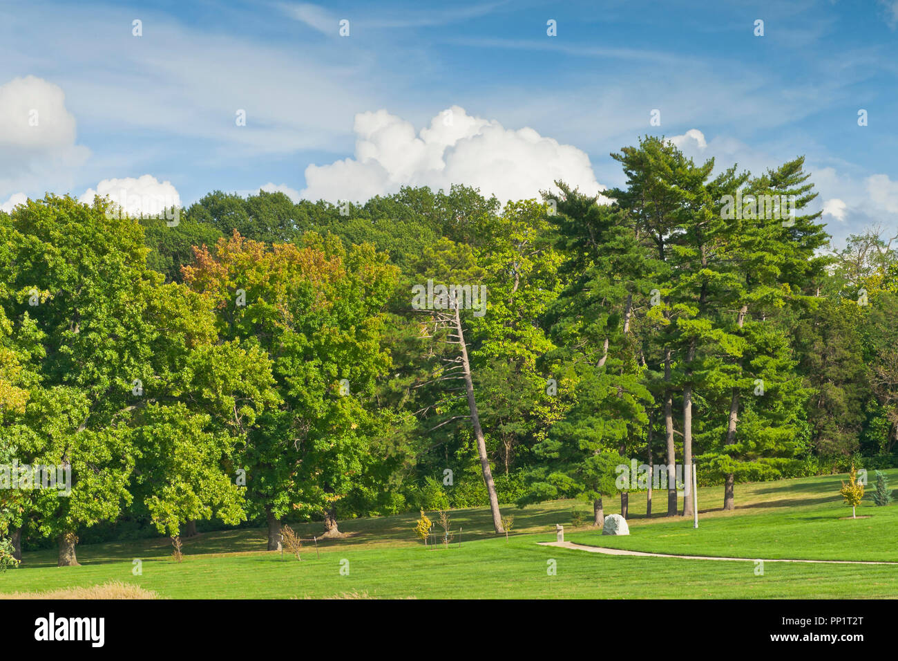 Puffy nuvole sporgono al di sopra di alberi con un suggerimento di rosso fogliame di autunno tra il verde a San Louis Forest Park su un pomeriggio ai primi di ottobre. Foto Stock