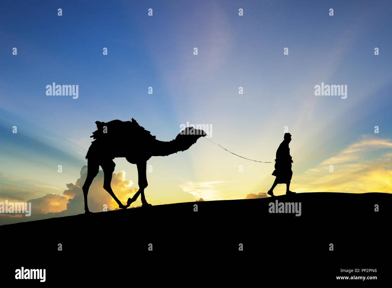 Camminare con il cammello attraverso il deserto di Thar in India, mostrano silhouette e drammatico sky Foto Stock