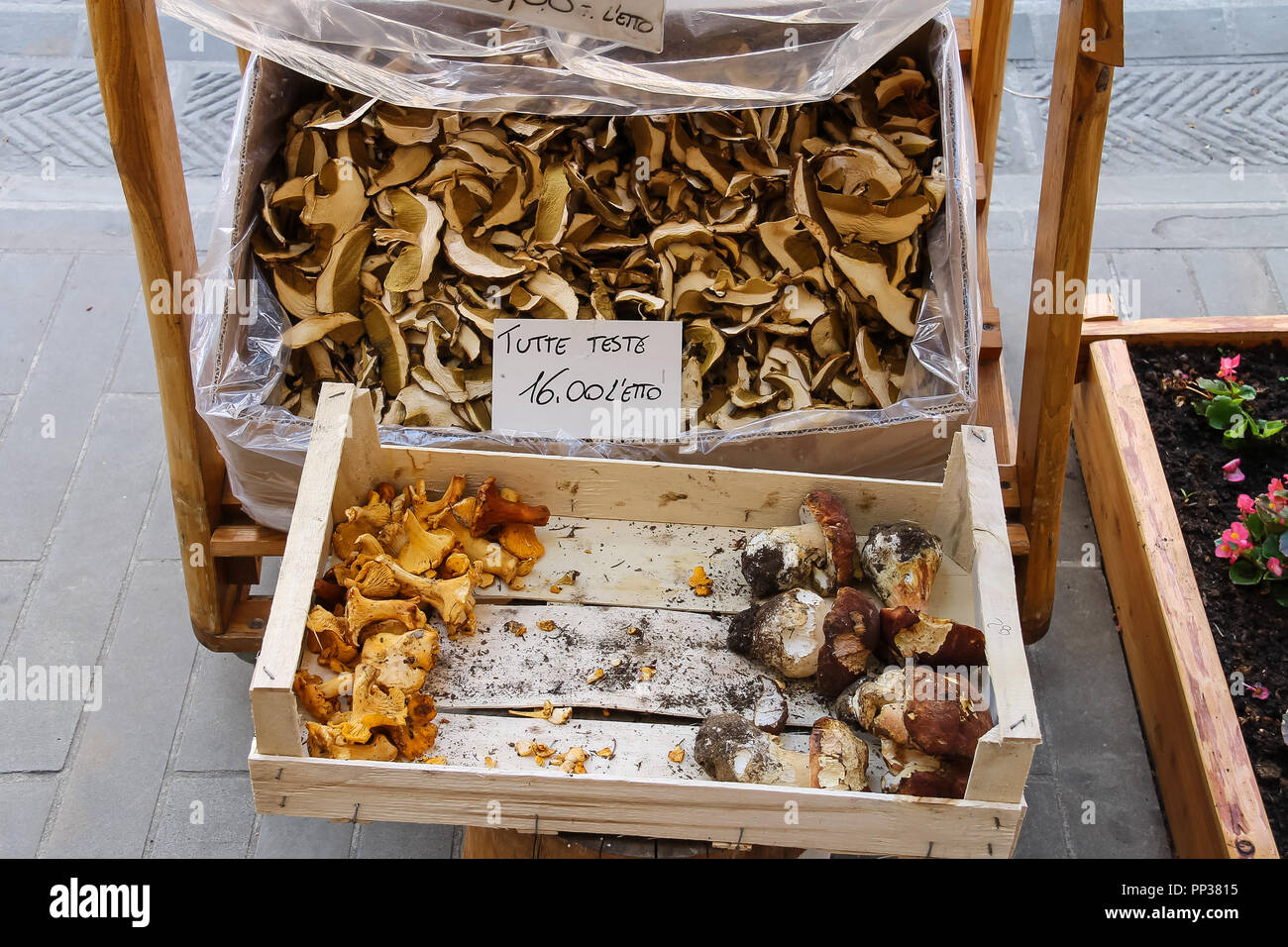 Essiccato e funghi freschi nella vendita di strada. Fanano, Italia Foto Stock
