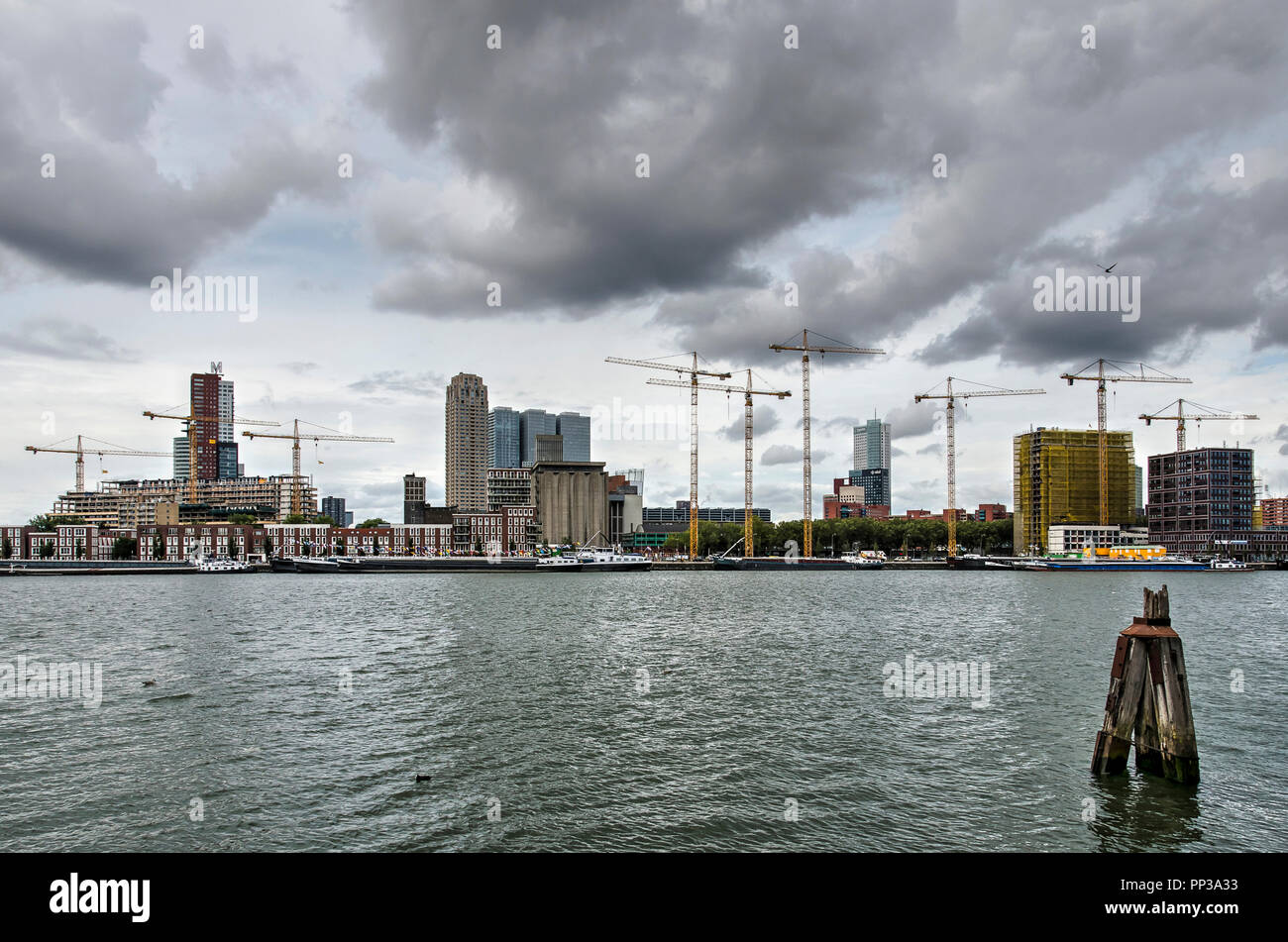Rotterdam, Paesi Bassi, 8 Settembre 2018: vista sul porto di Maashaven verso il prossimo quartiere Katendrecht con gru e edifici unde Foto Stock