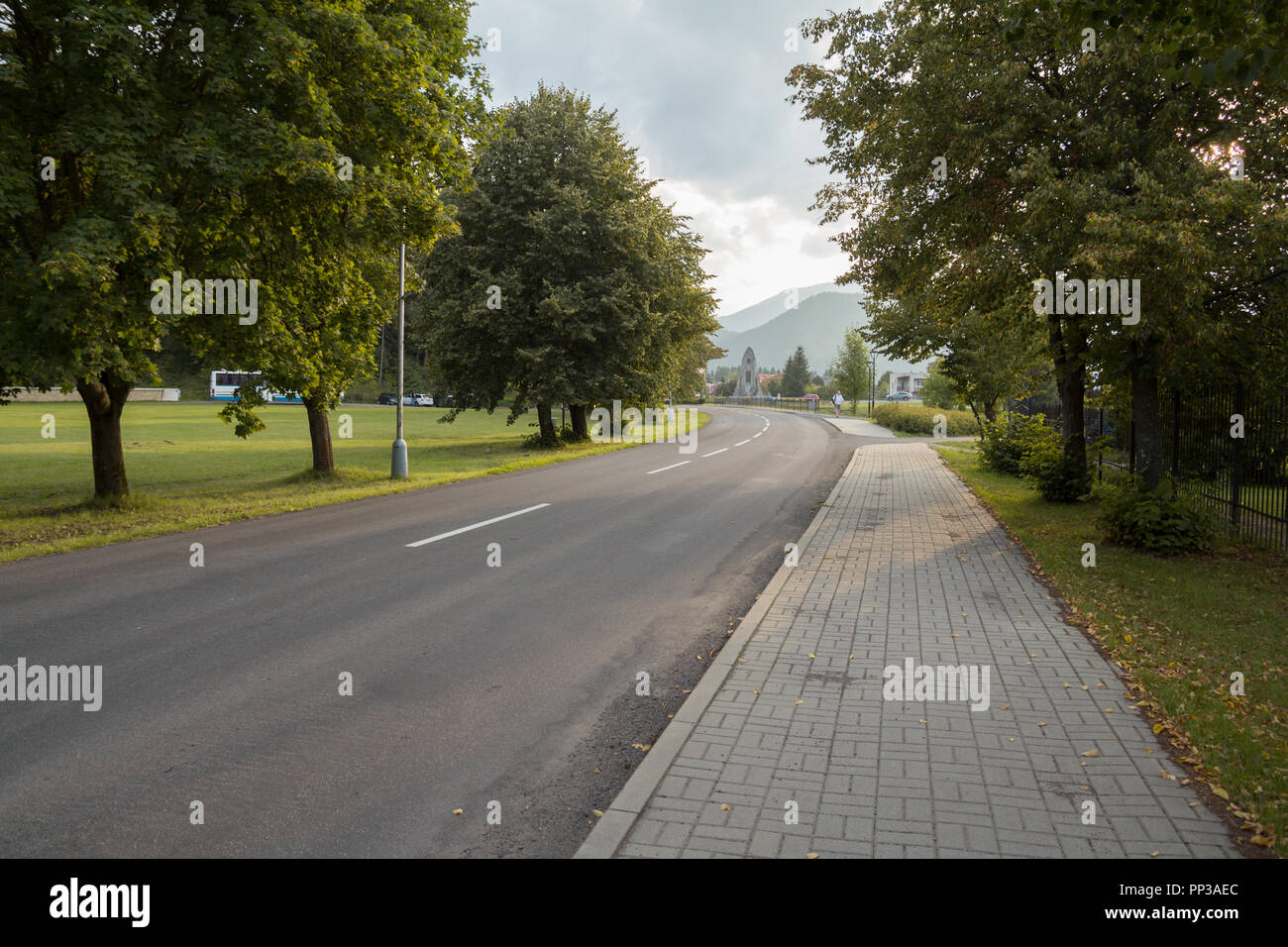 Strada fiancheggiata da alberi Foto Stock