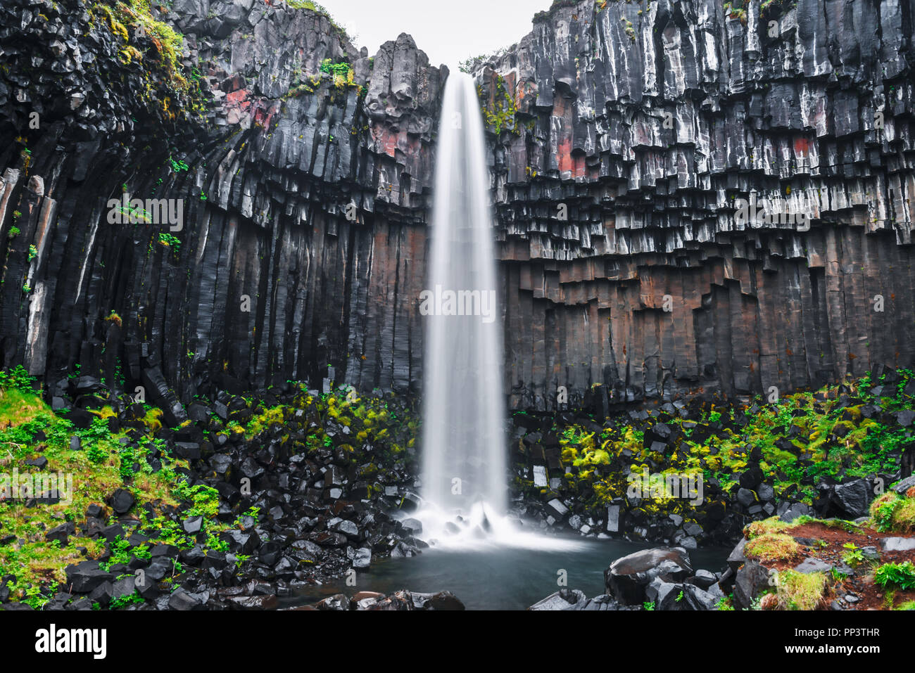 Famosa cascata Svartifoss. Un altro chiamato Black caduta. Situato a Skaftafell, Vatnajokull National Park, Islanda Foto Stock