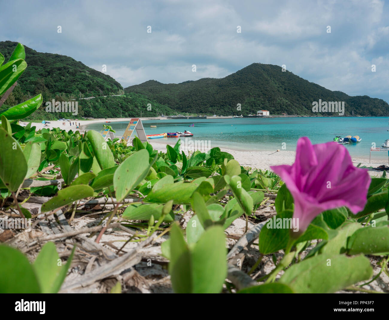 Tagesauflug auf die wunderschöne Insel Tokashiki in Okinawa. Foto Stock