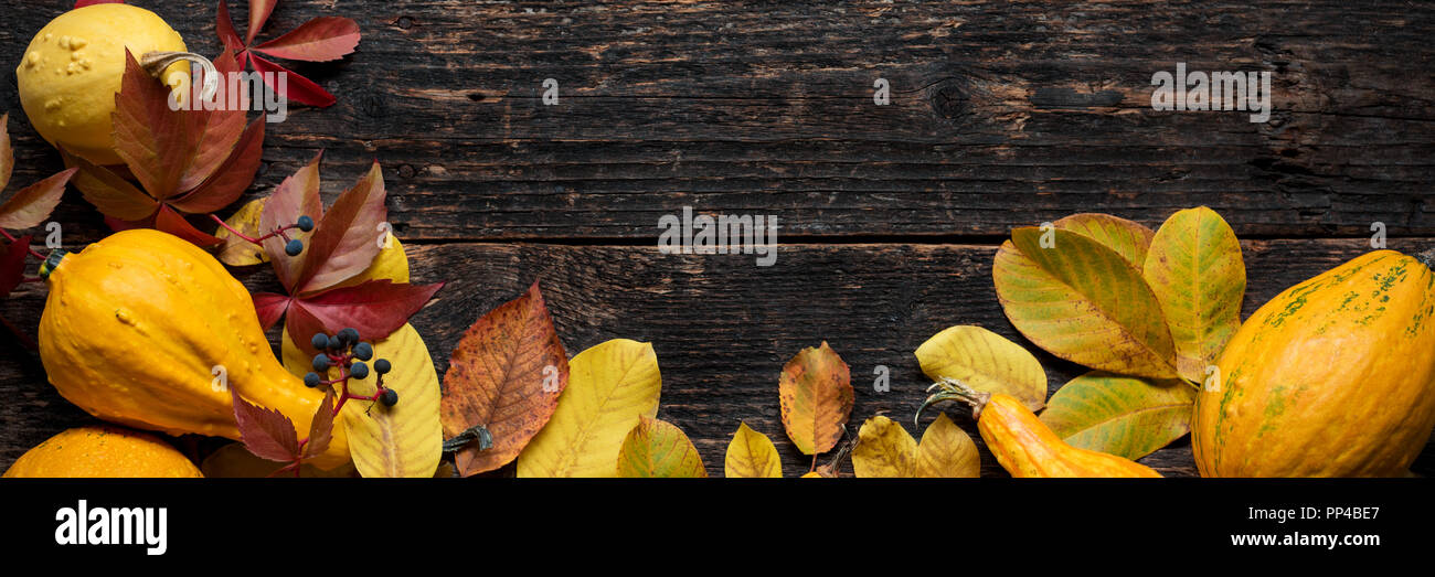 Felice ringraziamento Banner. Selezione di diverse varietà di zucche sul legno scuro dello sfondo. Autunno ortaggi e decorazioni stagionali concetto. Bella Autu Foto Stock