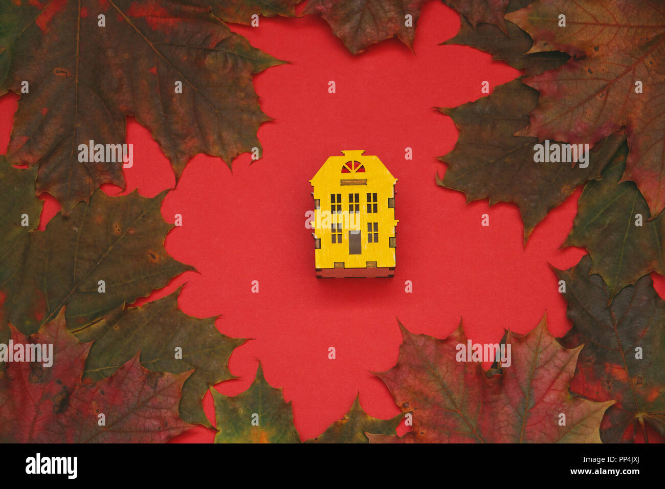 Miniatura casa in legno in un cerchio di foglie di acero su uno sfondo di colore rosso. Foto Stock