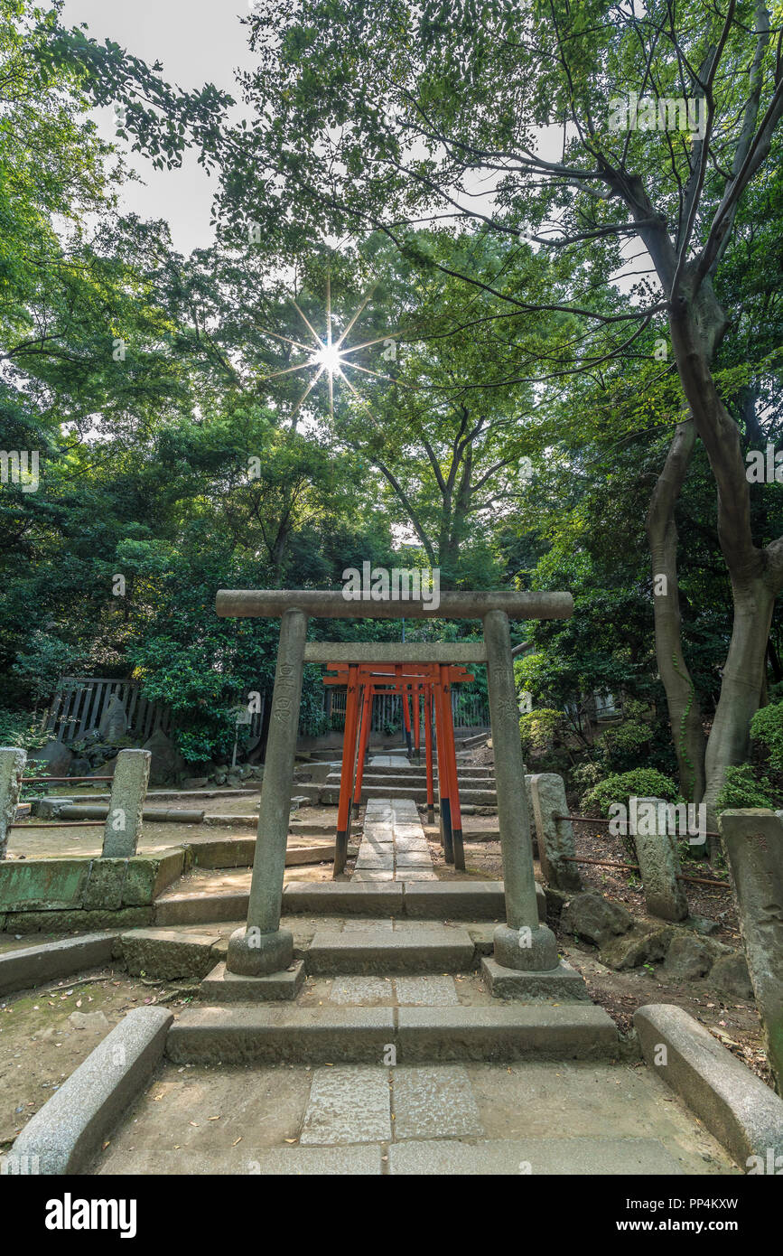 Tokyo, Bunkyo Ward - Agosto 6, 2018 : Pietra myojin Torii gate e red torii gates all ingresso di Nezu-jinja sacrario scintoista. designata come importante Cu Foto Stock