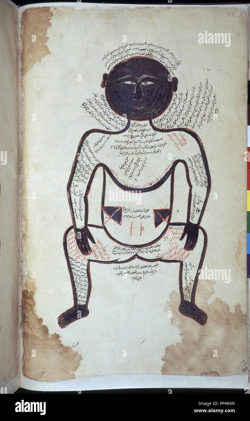 Manoscritto arabo 2296 - Schema anatomico DELL UOMO NERO F11- XIII secolo. Autore: TASRIH-HO MANSURI. Posizione: BRITISH MUSEUM LIBRARY. Londra. In Inghilterra. Foto Stock