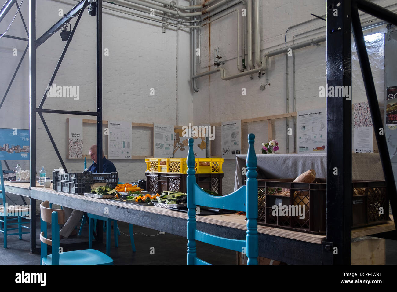 Il Nordbahn-Halle è stato sviluppato come un uso provvisorio come Parte del progetto di sviluppo 'Cischung:Nordbahnhof' Foto Stock