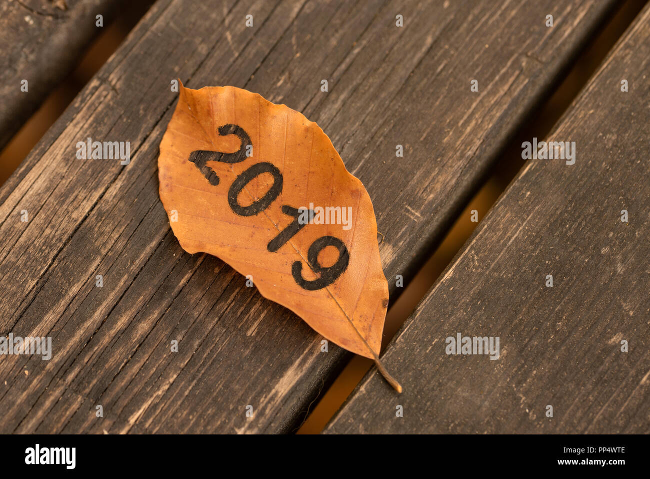 Anno nuovo concetto di 2019 con foglia e la natura. Foto Stock