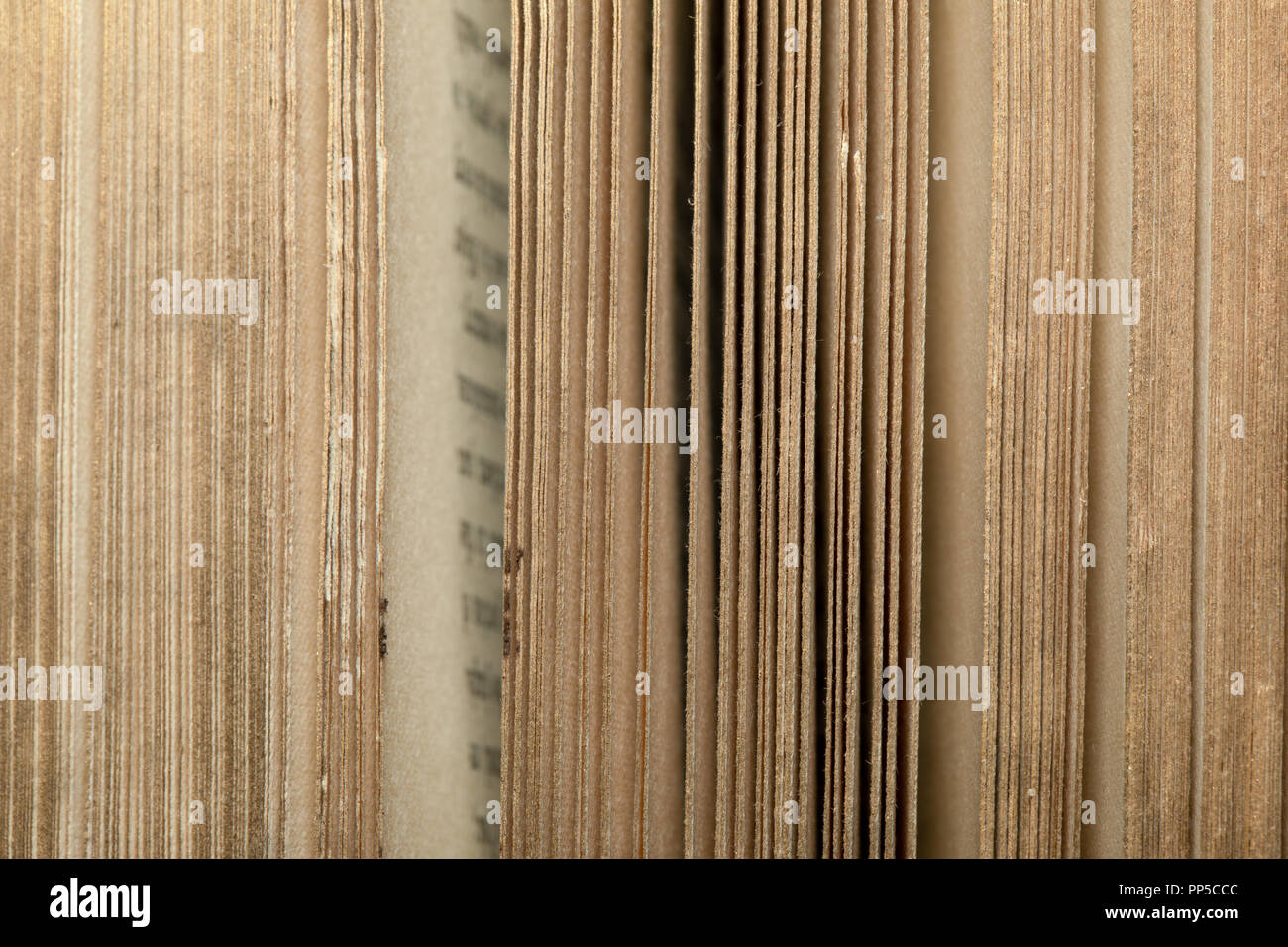 Libri Antichi Pagine La Rilegatura Dorature Gli Sfondi E Texture Vintage E Antiche Conoscenze Delle Risorse Foto Stock Alamy