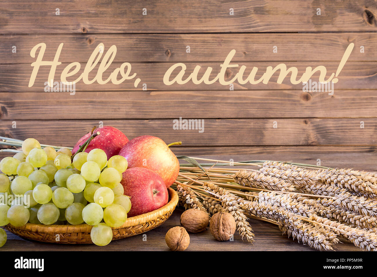 La raccolta autunnale vicino la cornice colorata o banner Foto Stock