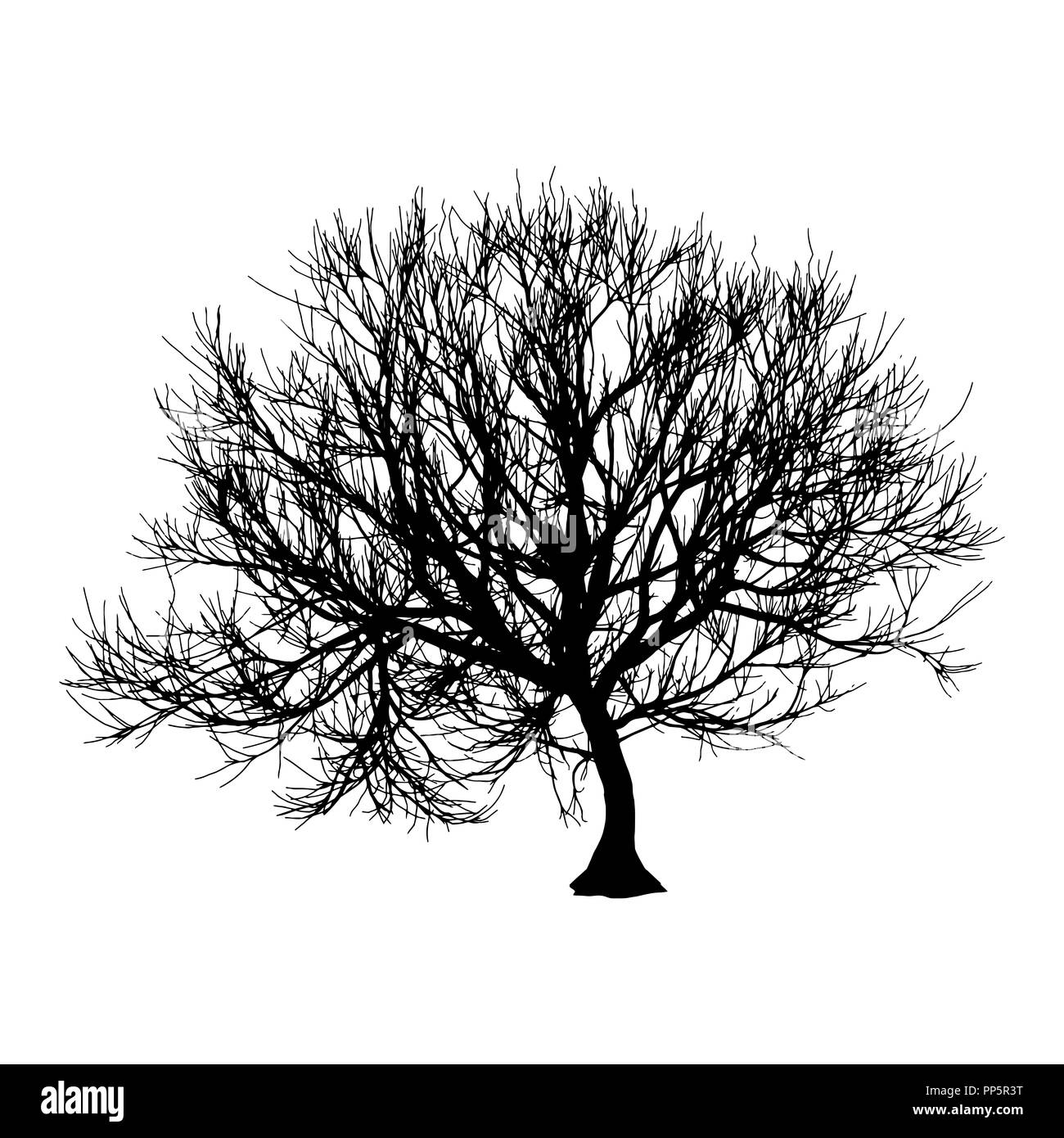 Nero albero secco in inverno o in autunno silhouette su sfondo bianco. illustrazione Foto Stock