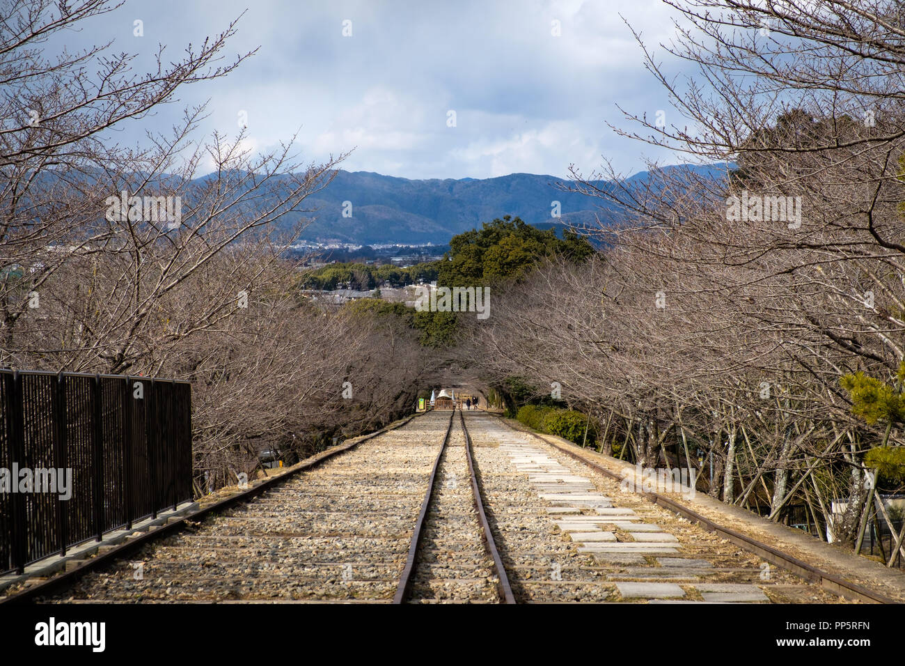 KYOTO, Giappone - 08 FEB 2018: Keage inclinare dalla vecchia linea ferroviaria circondato da alberi di ciliegio Foto Stock