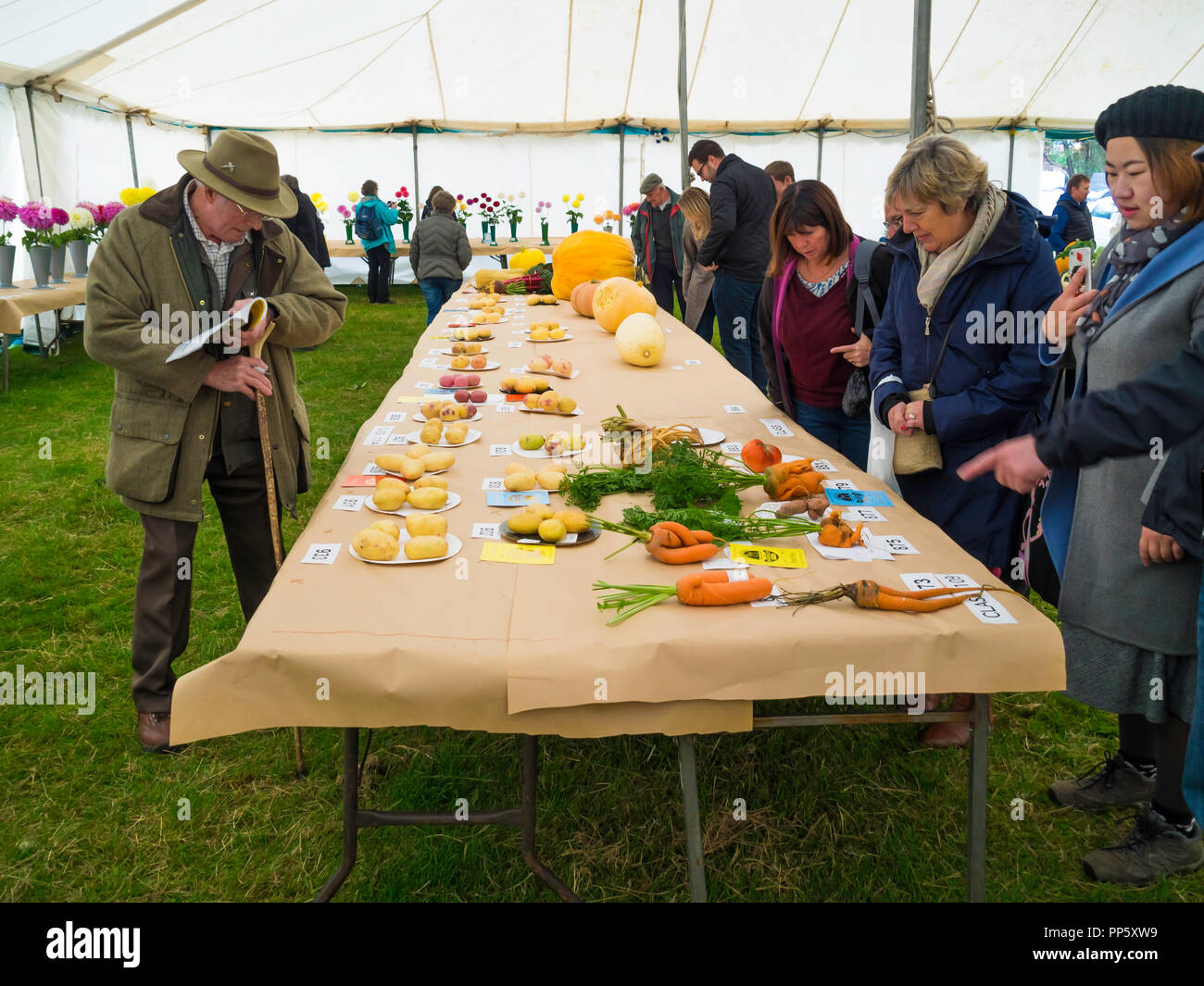 I membri del pubblico la visualizzazione delle verdure in mostra nella sezione orticoltura annuale di Stokesley Agricultural Show 2018 Foto Stock