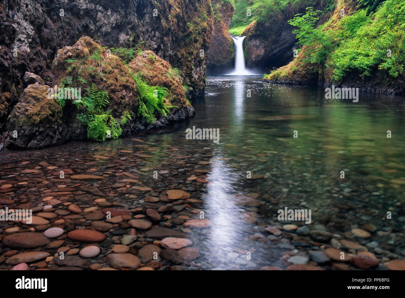 Oregon's Eagle Creek versa su conca cade nella Columbia River Gorge National Scenic Area. Foto Stock