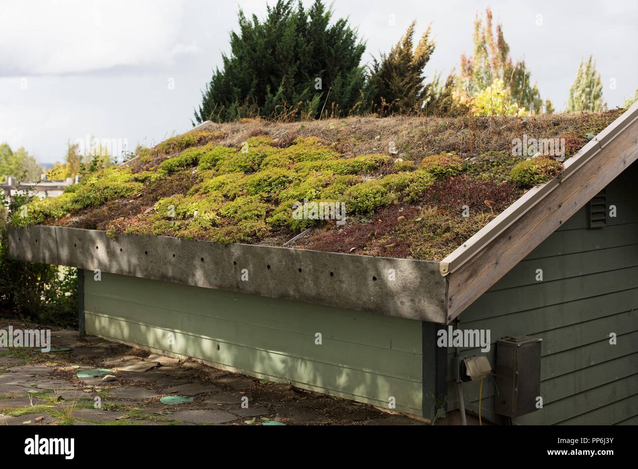 Un edificio con un'eco-tetto, alla Oregon Garden in Silverton, Oregon, Stati Uniti d'America. Foto Stock