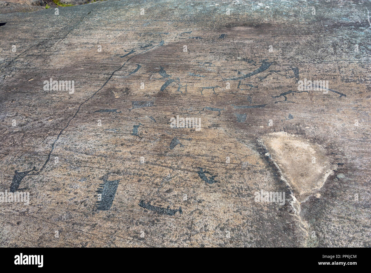 Un incisioni rupestri sono disegni antichi su una grande pietra, Carelia, la Russia. Foto Stock