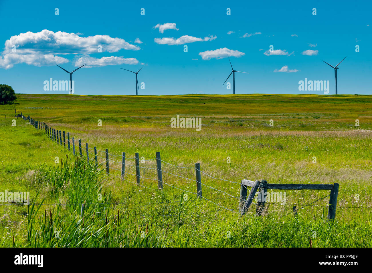 Generazione di potenza per centrali eoliche nelle praterie di Southern Alberta Canada Foto Stock