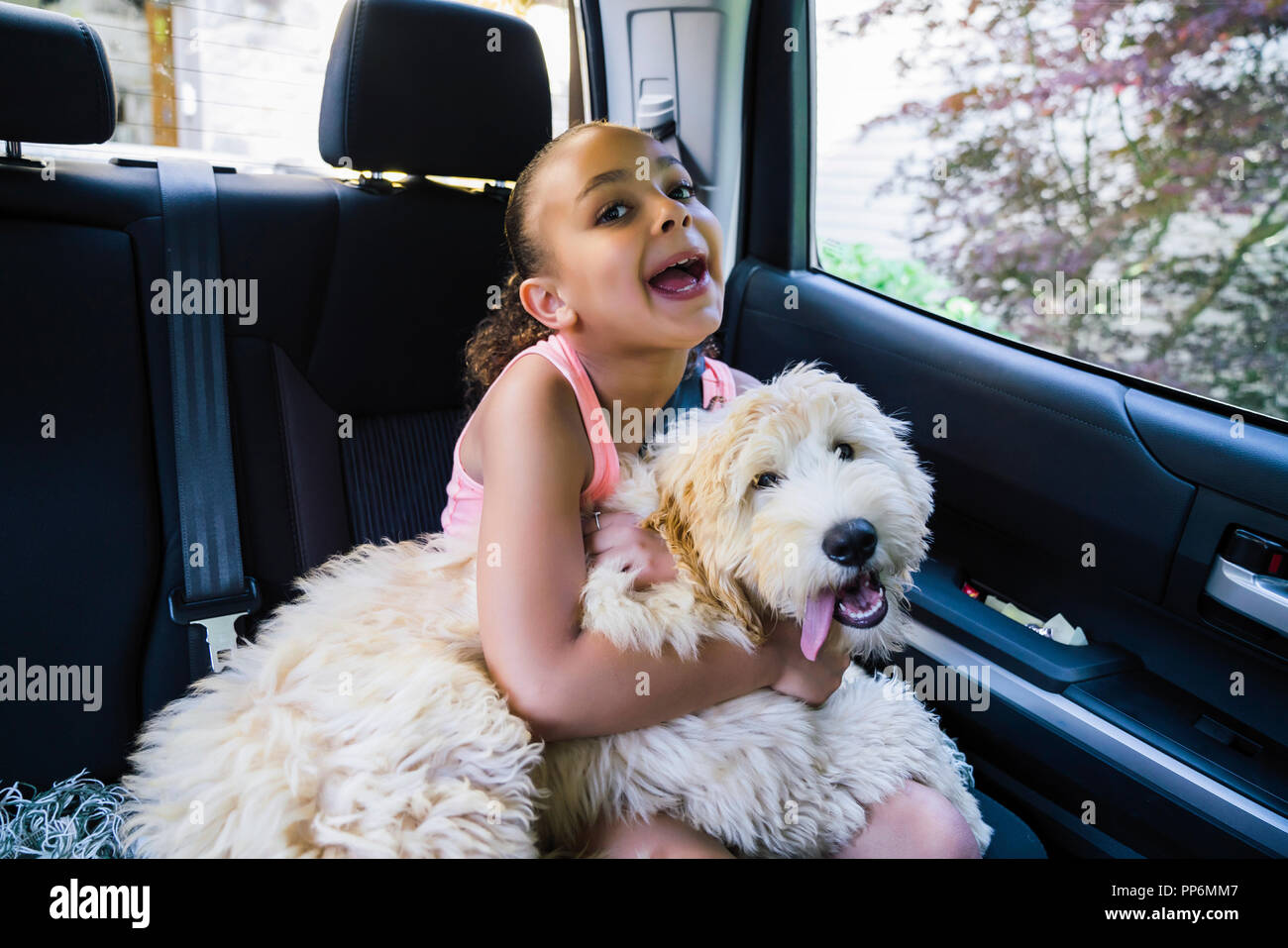 Ragazza con labradoodle puppy in auto rendendo pippo faccia Foto Stock