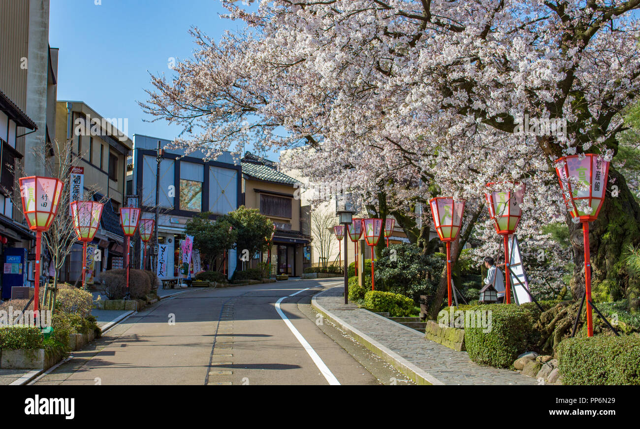 Tradizionale Giapponese con la strada dei ciliegi in fiore e lanterne, Kanazawa, Giappone. Foto Stock
