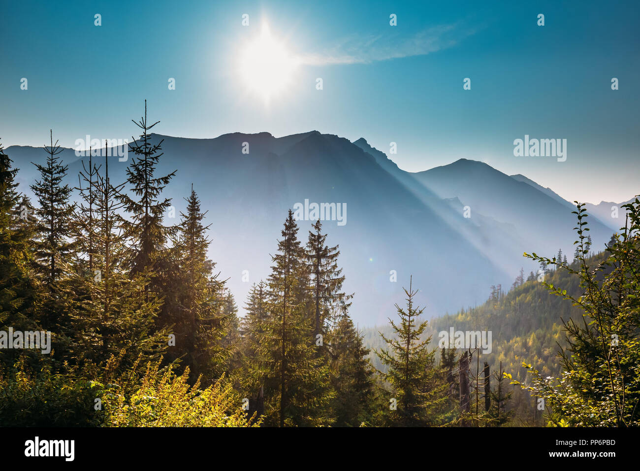Parco nazionale dei Alti Tatra, Polonia. Sunrise sopra la montagna estiva e brumoso paesaggio forestale. Sole di mattina di sole sopra la luce del sole di picco e di alberi. Bella S Foto Stock