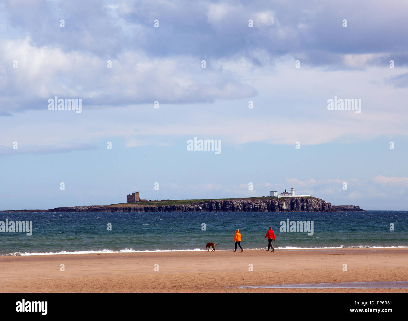 L uomo e la donna a piedi il loro cane lungo la spiaggia di Northumberland Bamburgh England Regno Unito con il farne isole nella massa posteriore Foto Stock