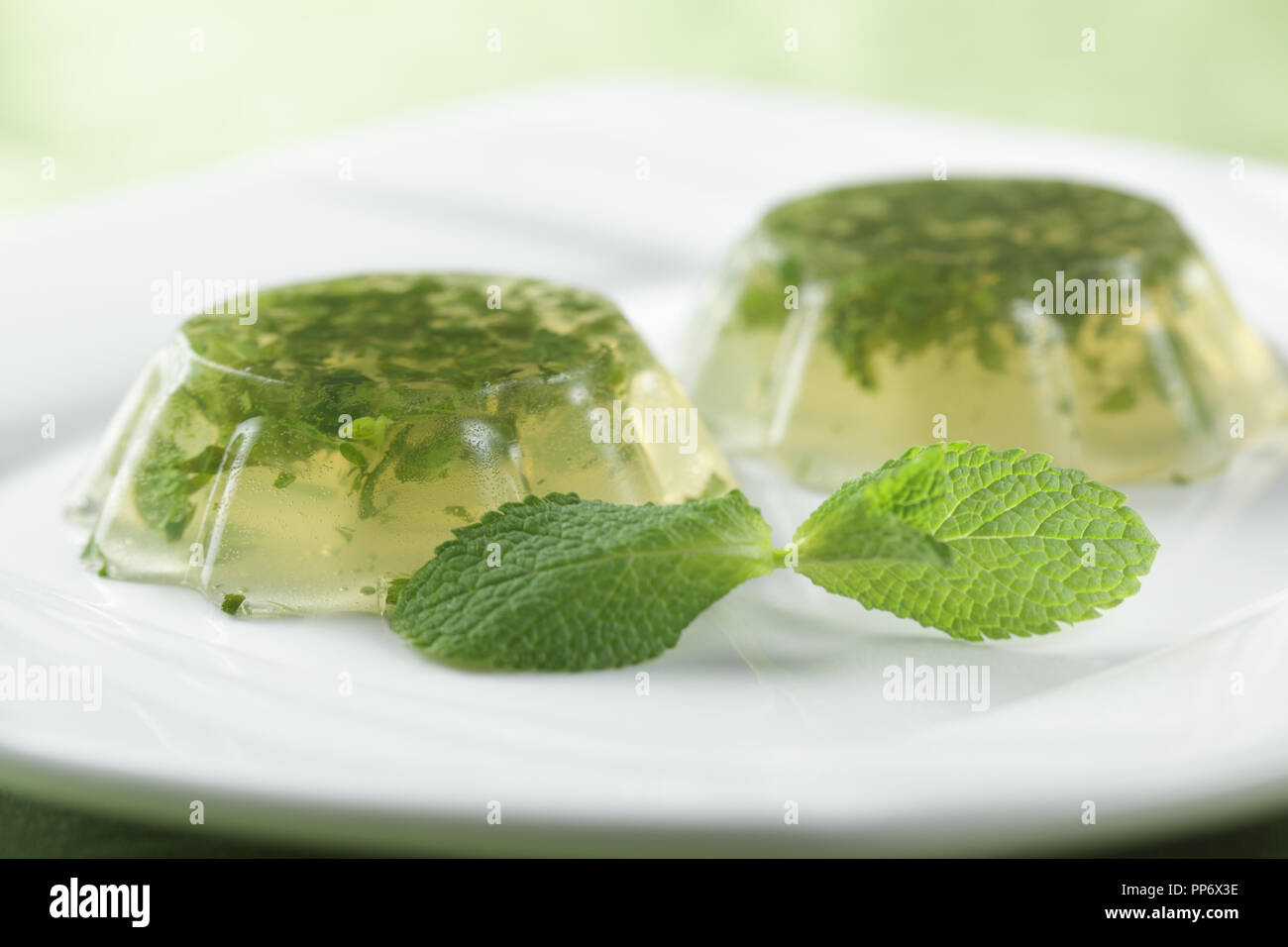 Gelatina di menta sulla piastra con foglie fresche di menta piperita. DOF poco profondo Foto Stock