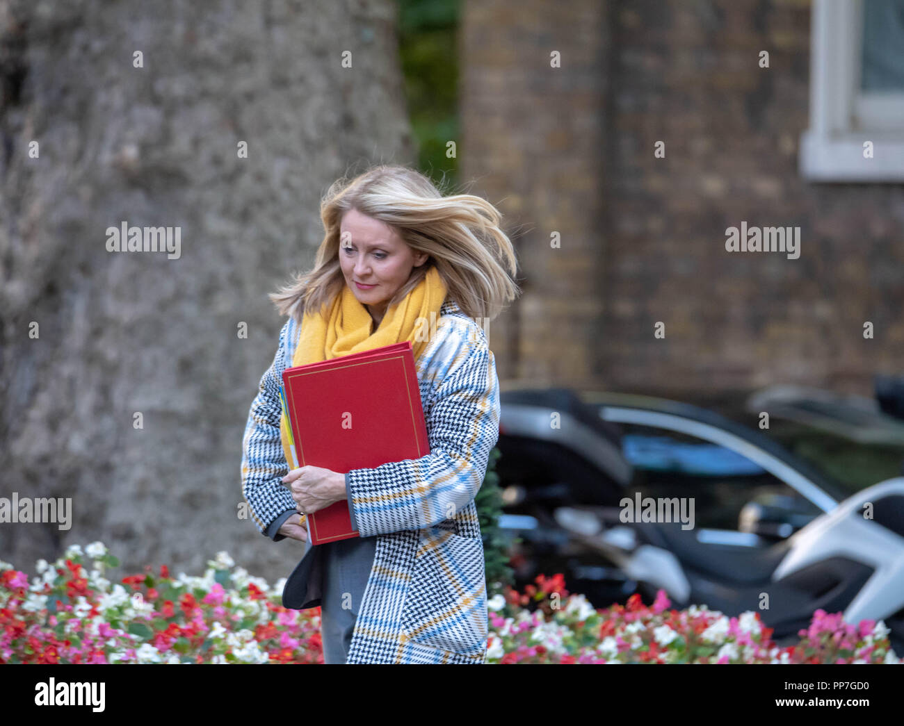 Londra, Regno Unito. 24 Settembre 2018,Esther McVey MP PC, il lavoro e le pensioni Segretario, , arriva in una riunione del gabinetto a 10 Downing Street, Londra, Regno Unito. Credit Ian Davidson/Alamy Live News Foto Stock