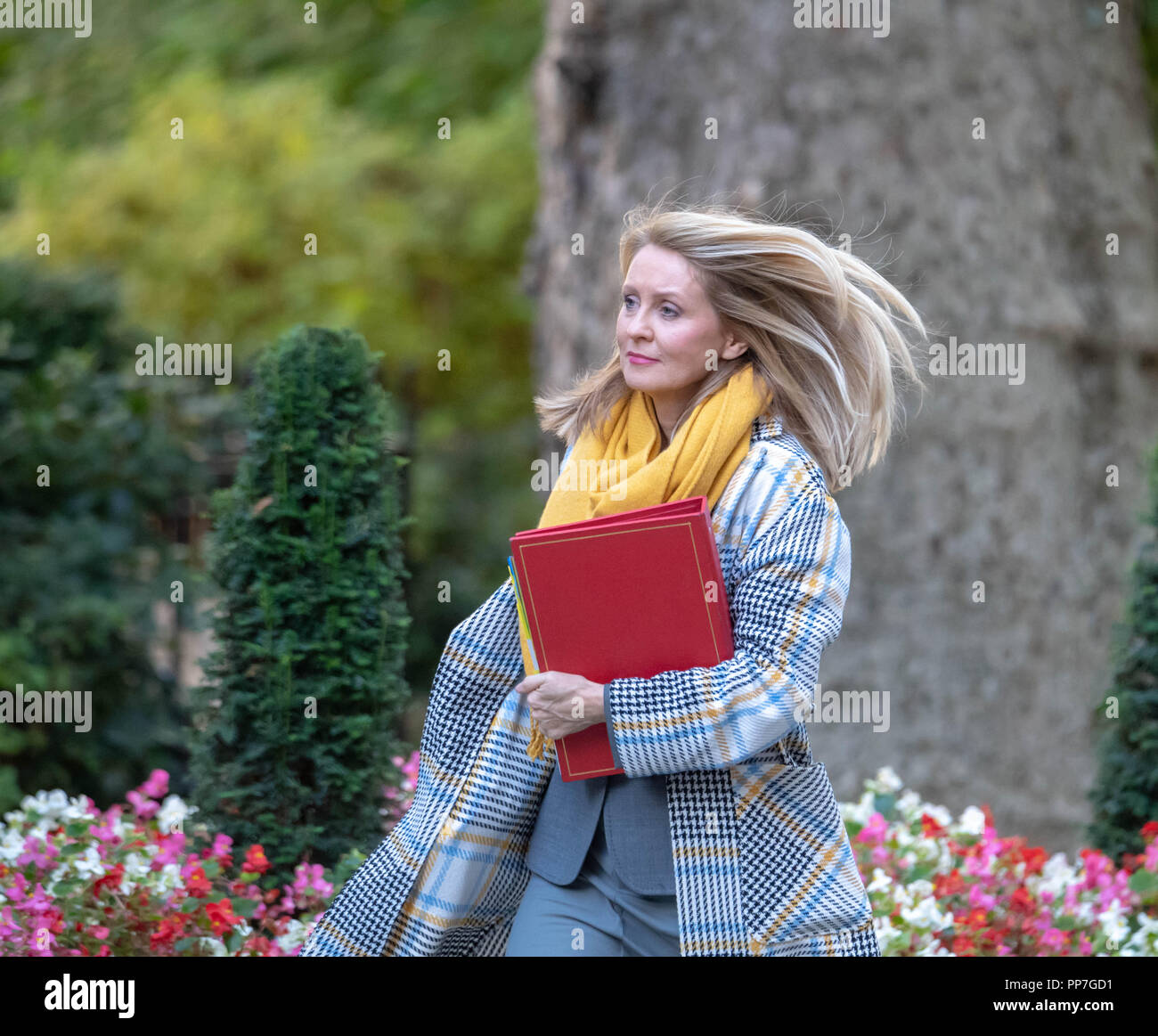 Londra, Regno Unito. 24 settembre 2018, Esther McVey MP PC, il lavoro e le pensioni Segretario, , arriva in una riunione del gabinetto a 10 Downing Street, Londra, Regno Unito. Credit Ian Davidson/Alamy Live News Foto Stock