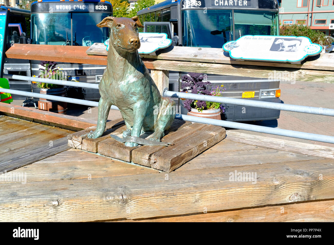 Patsy Ann statua, il cane di Juneau Alaska. Gazzetta personacordiale di Juneau, in Alaska Foto Stock