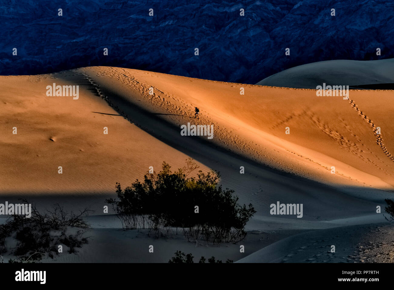 Salendo il Mesquite Flat dune di sabbia di sunrise Foto Stock