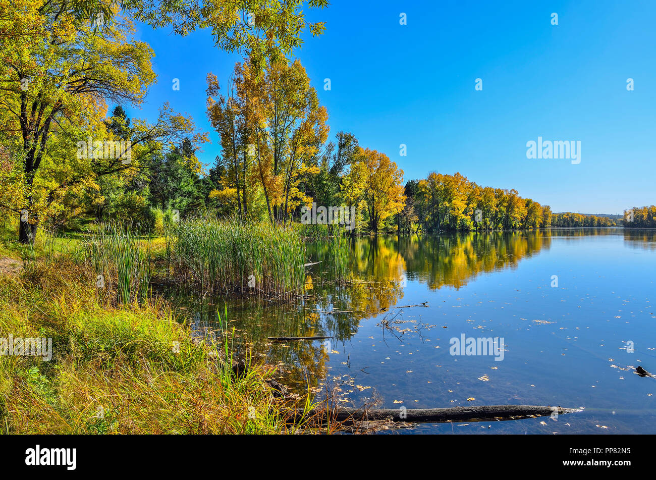 Golden fogliame di autunno alberi vicino al lago riflette in acqua blu - autunno pittoresco paesaggio a caldo e soleggiato settembre meteo con cielo blu chiaro Foto Stock