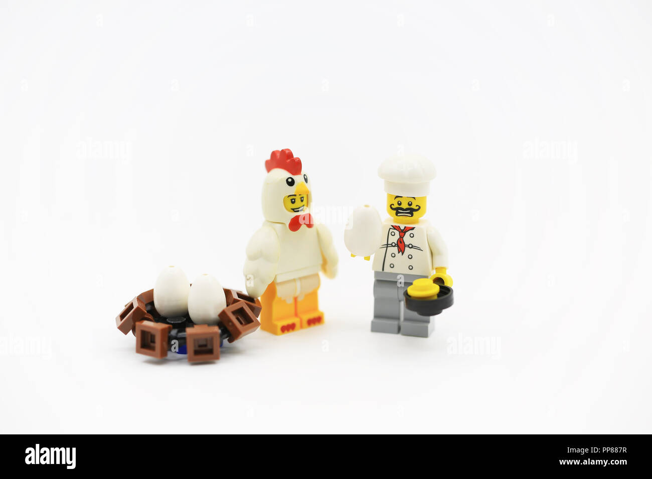 Pollo uovo fresco Foto Stock